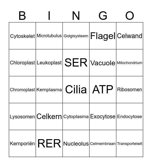 Organelle bingo Card