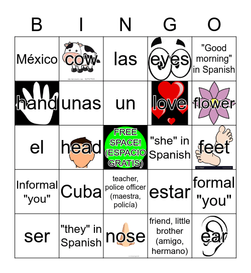 Spanish II & III Week 4 Bingo Card
