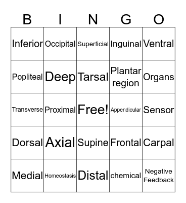 Introduction to the Body Bingo Card