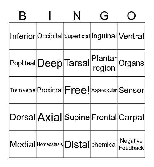 Introduction to the Body Bingo Card