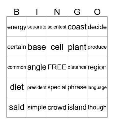 STAR WORDS Bingo Card