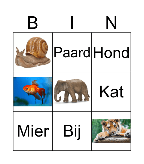DIEREN Bingo Card