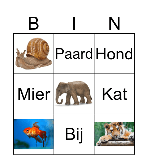 DIEREN Bingo Card