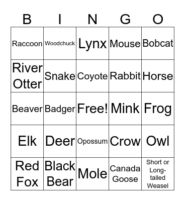 Animal Track Bingo Card