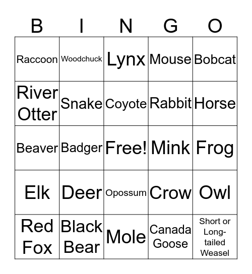 Animal Track Bingo Card