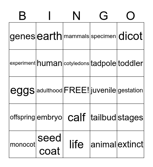 Life Cycle Bingo Card