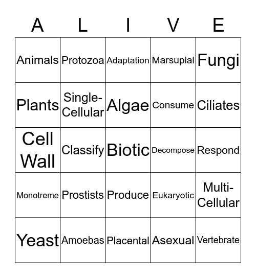 Biotic Bingo Card