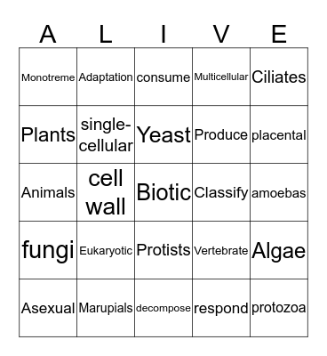 Biotic Bingo Card