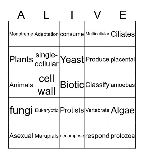 Biotic Bingo Card
