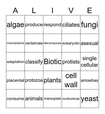 Biotic Bingo Card