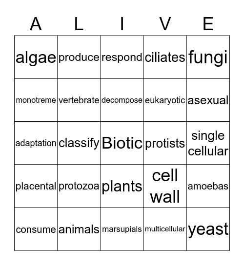 Biotic Bingo Card
