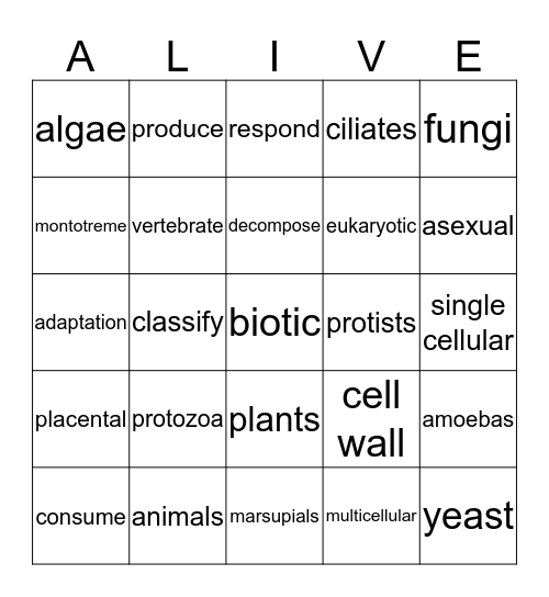 Biotic Bingo Card