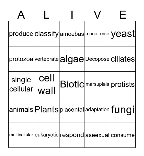 Biotic Bingo Card