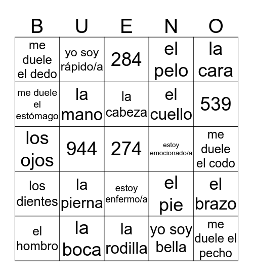 5th cuerpo Bingo Card