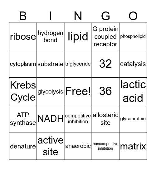 Anatomy Biochemistry Bingo Card