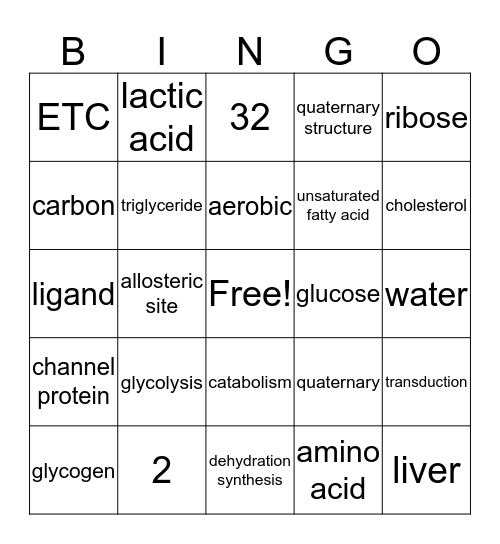 Anatomy Biochemistry Bingo Card