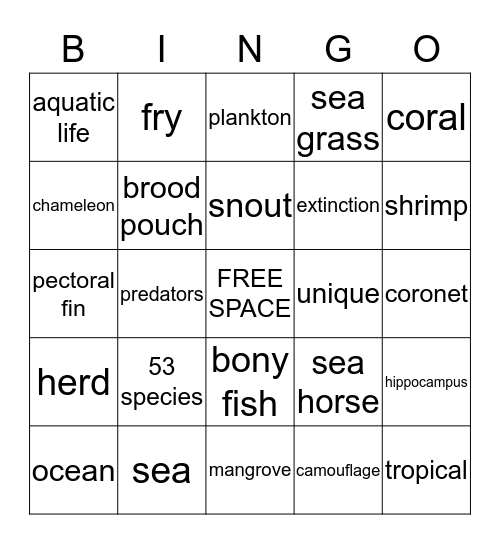 SEA HORSE Bingo Card