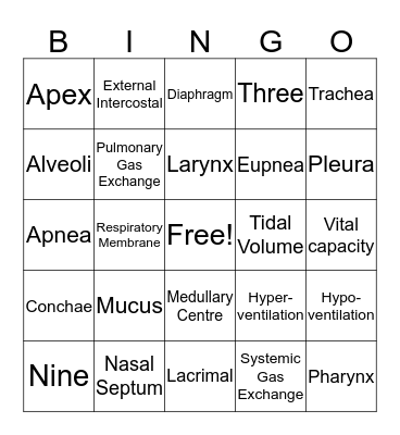 Respiratory System Bingo Card