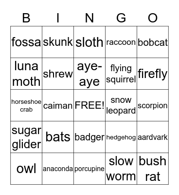 NOCTURNAL ANIMALS Bingo Card
