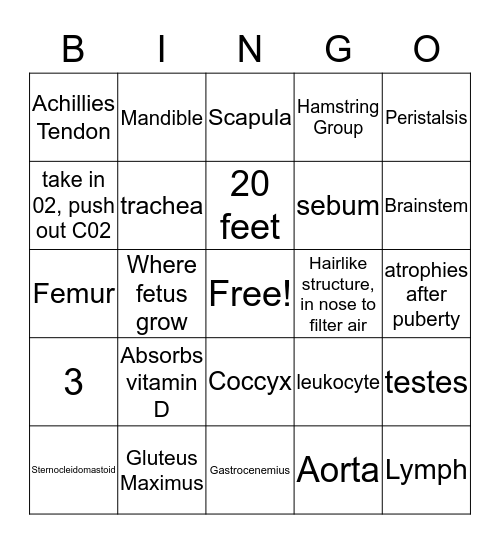 Anatomy Bingo Card