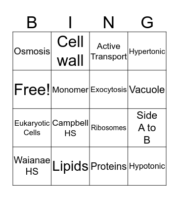 Review Game  Bingo Card