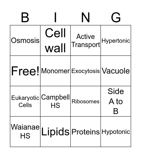 Review Game  Bingo Card