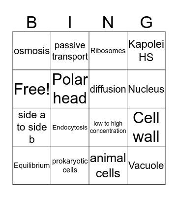 Review Game Bingo Card