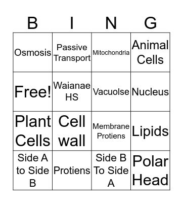 BOMBSQUAD Bingo Card