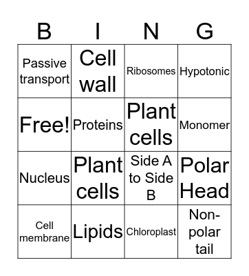 Review Game Bingo Card