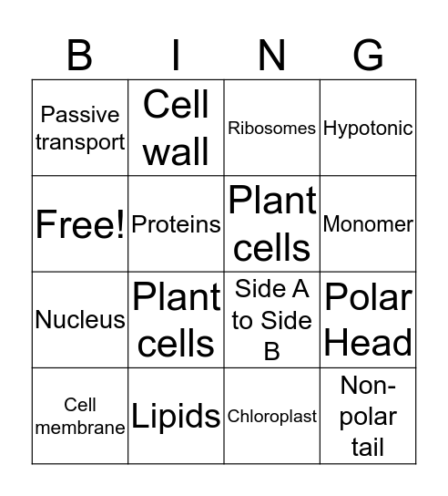 Review Game Bingo Card