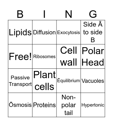 review game Bingo Card