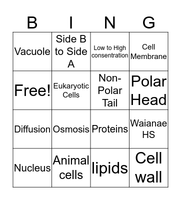 Shanielle Bingo Card