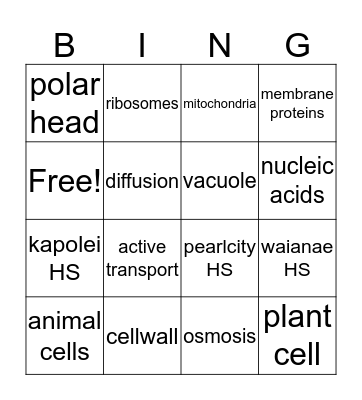 hawks behbeh  Bingo Card