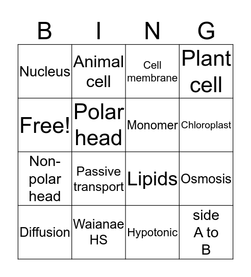 Review Game Bingo Card