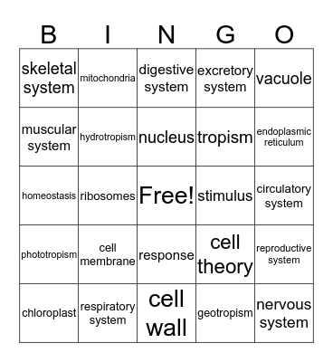 Checkpoint Bingo Card