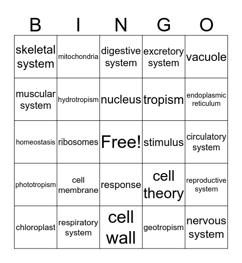 Checkpoint Bingo Card