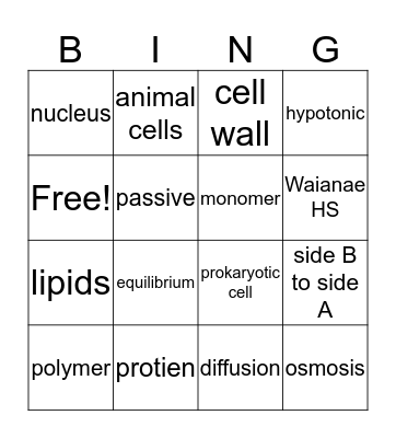 sun Bingo Card