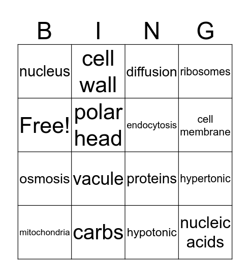 era g Bingo Card