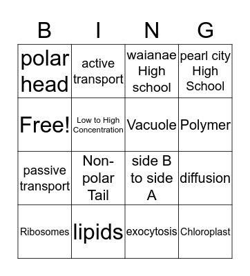B I N G O  Bingo Card