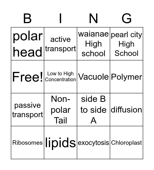 B I N G O  Bingo Card