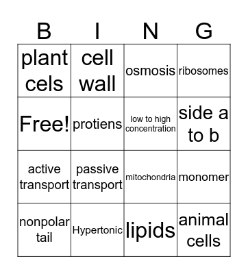 IDK!! Bingo Card