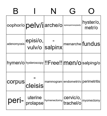 Female Reproductive System  Bingo Card