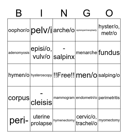 Female Reproductive System  Bingo Card