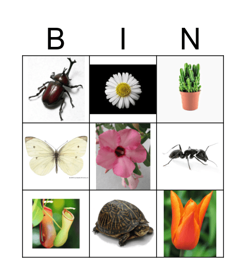 Field Trip Bingo Card