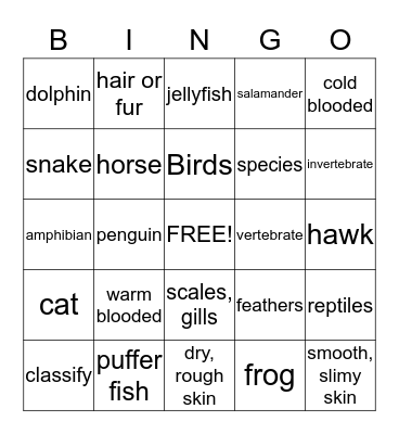 Animal Classification Bingo Card