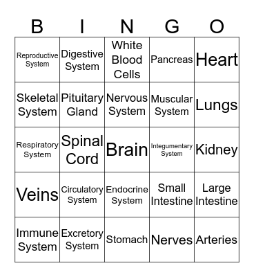 Body System Bingo Card