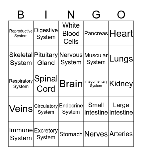 Body System Bingo Card