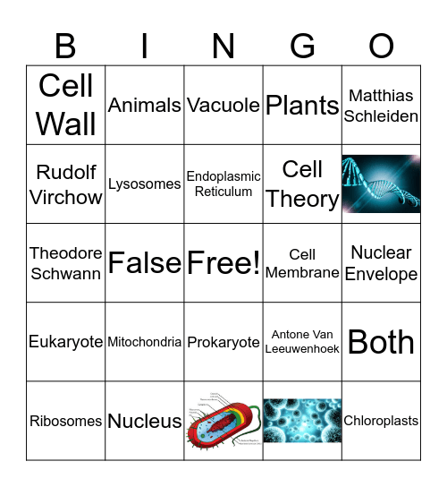 Parts of Cells Bingo Card