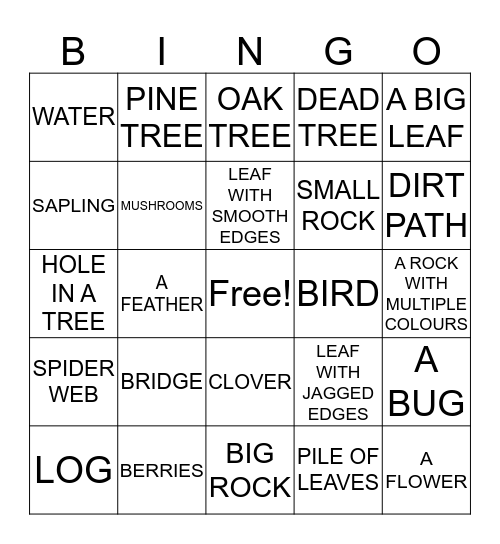 Nature Walk bingo Card