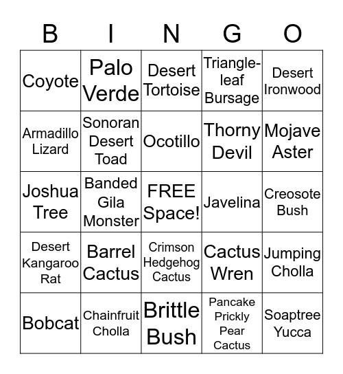 Desert Bingo Card